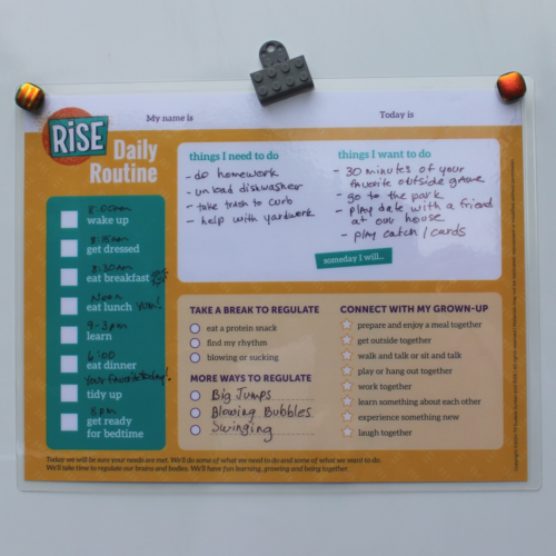 RISE Rhythm Daily Structure Laminated Dry Erase