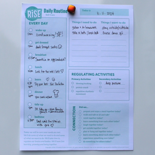 RISE Rhythm Paper Daily Structure
